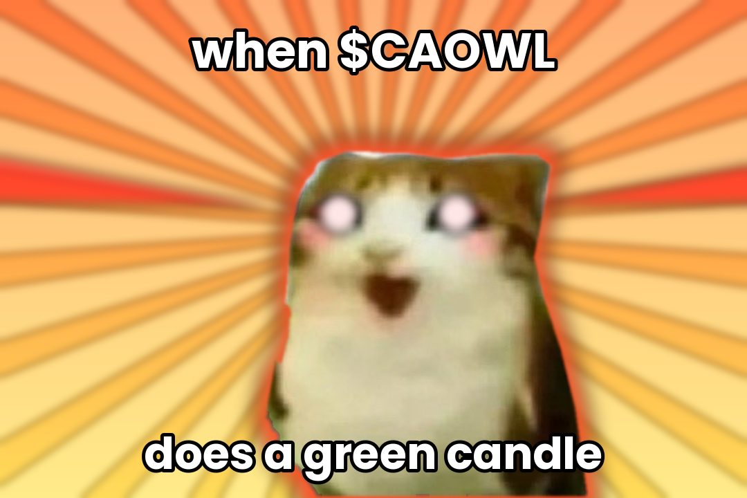 when CAOWL does a green candle, glowing eyes