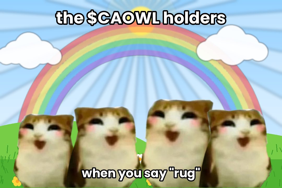 the CAOWL holders when you say rug