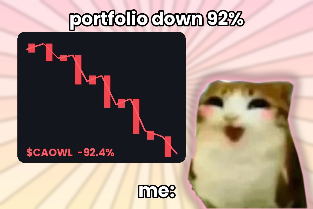 portfolio down 92%, me: smiling