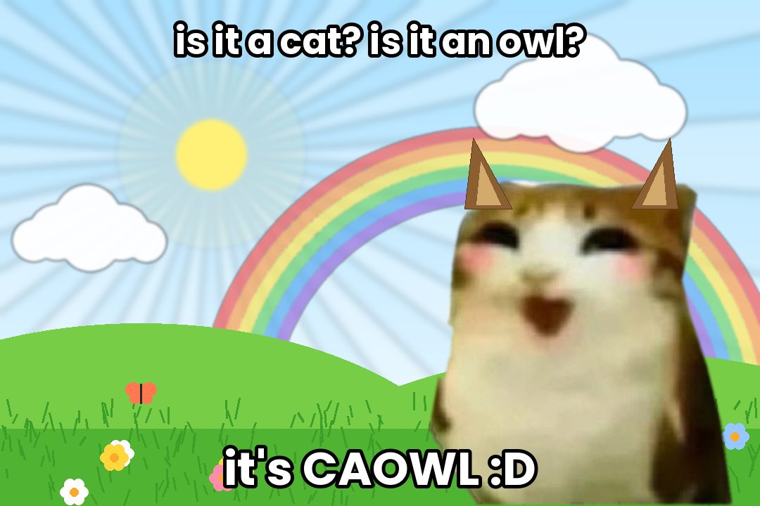 is it a cat, is it an owl, it's CAOWL
