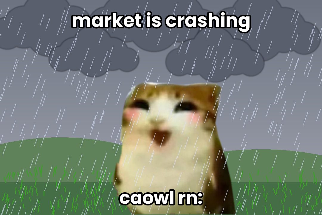 market is crashing, caowl still happy in the rain